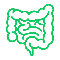 Hỗ trợ Tiêu hoá