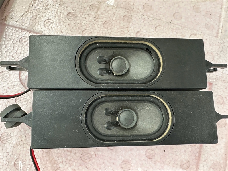 Loa tivi TCL L55P8 hàng Tháo máy còn hoạt động Tốt ( 01 Đôi Trái + Phải)