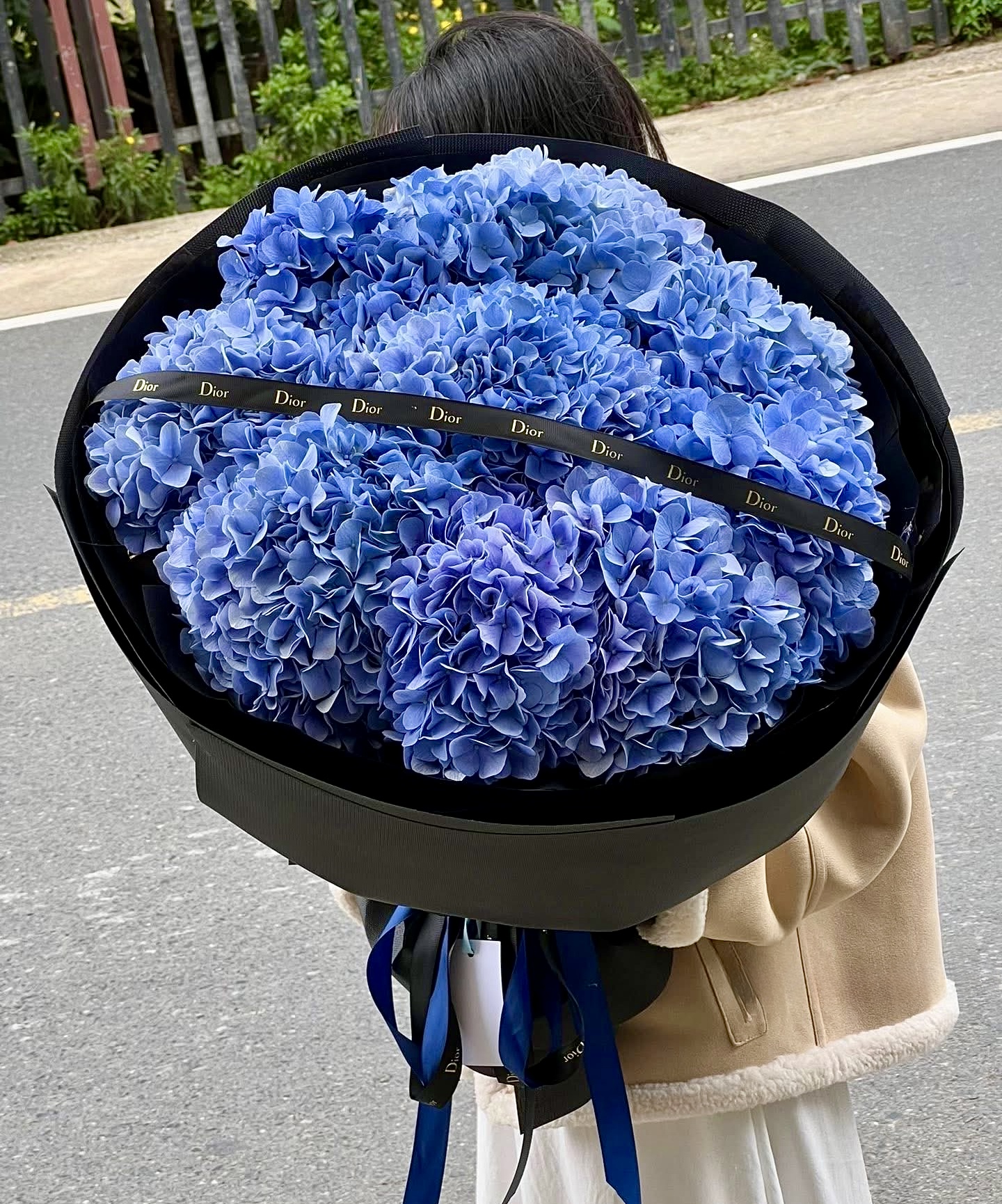 Hydrangea Lover  HTP0297