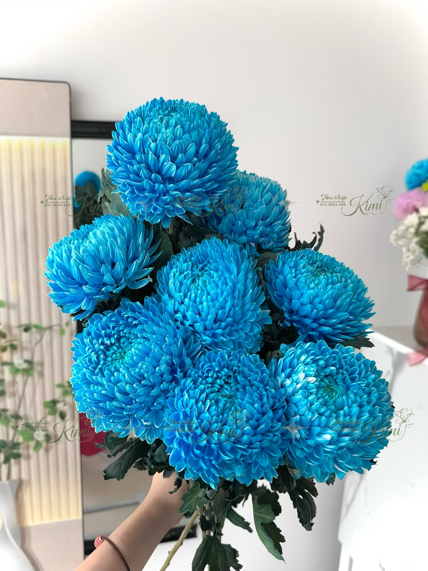 Cúc mẫu đơn KIMI hoa tươi