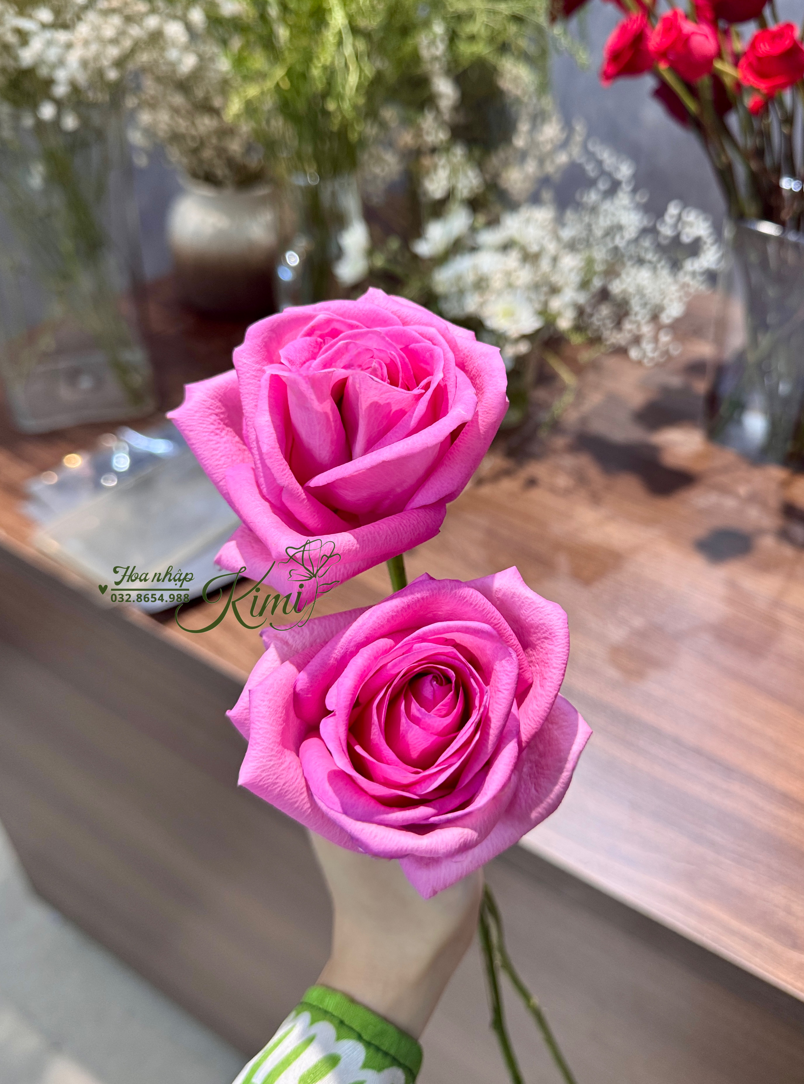 Hoa hồng Candy tuyết sơn chất lượng giá rẻ, hoa hồng sỉ