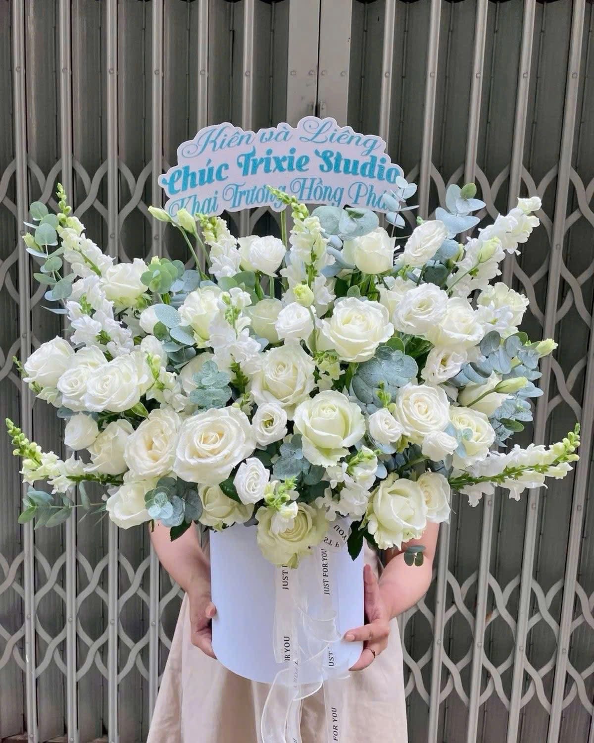 Vũ Khúc Thanh Lịch  HTP0351