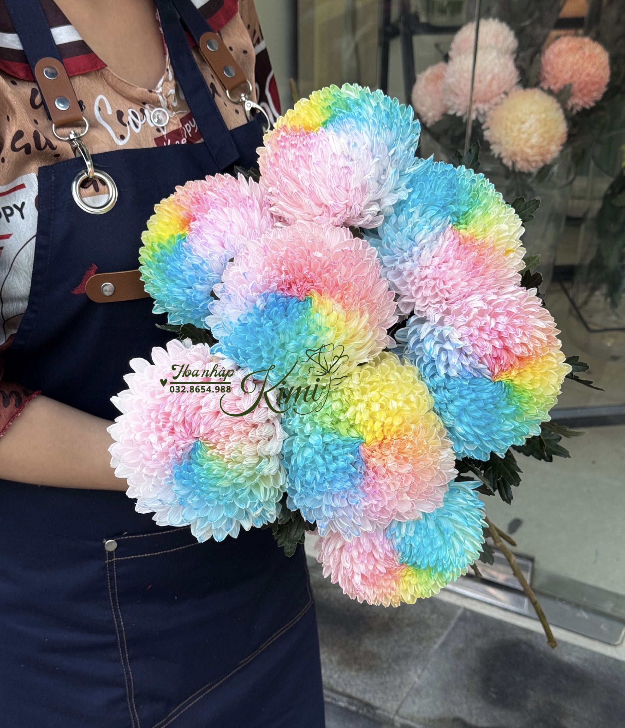 Cúc Mẫu Đơn Malaysia - Cầu Vồng 7 Màu nhạt (Peony Chrysanthemum)