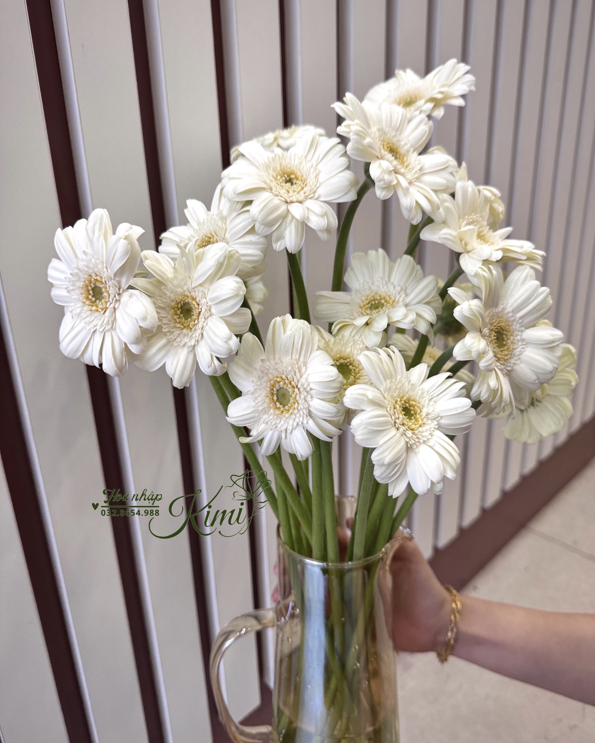 Hoa đồng tiền nhí trắng - tiệm hoa gần đây