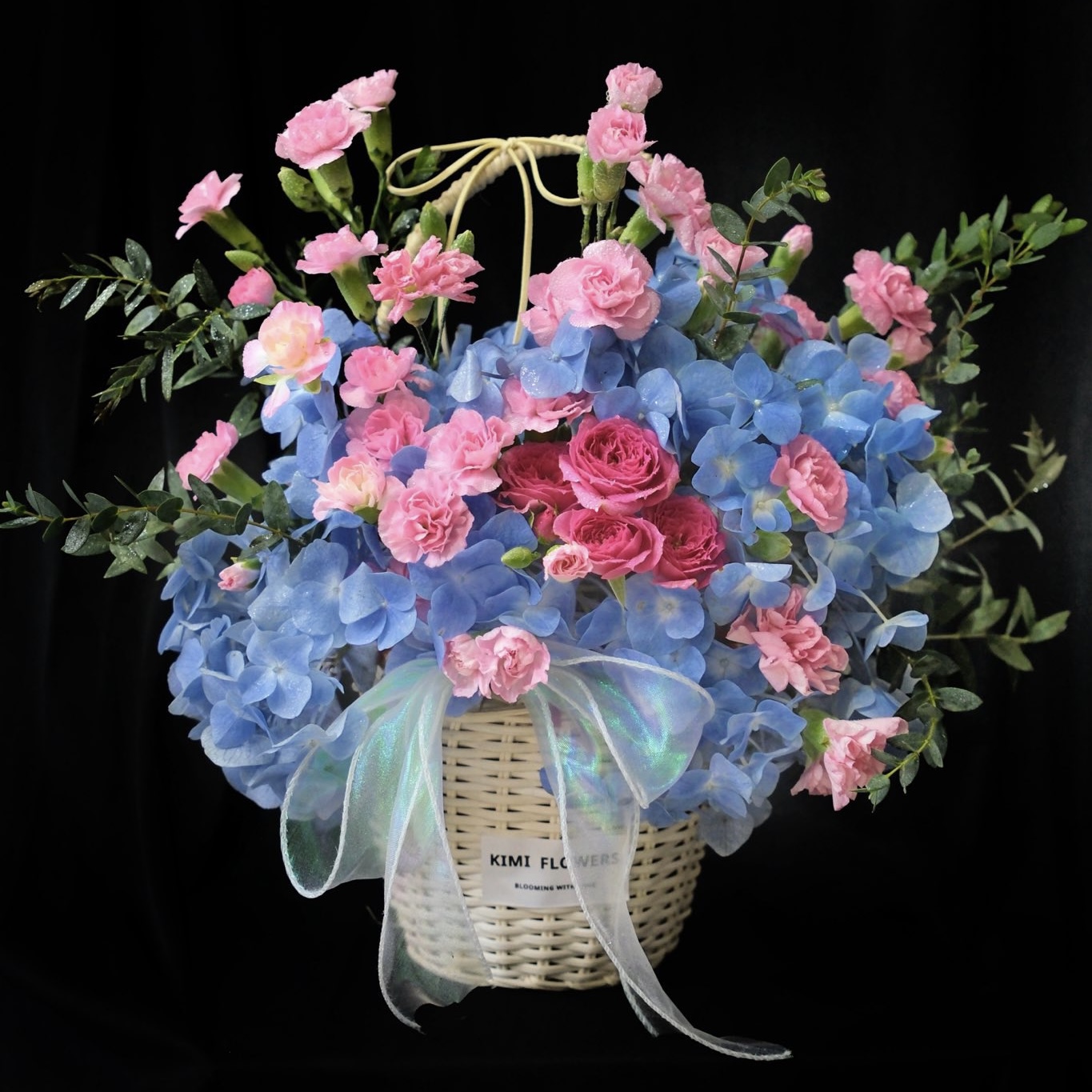 Cẩm Tú Cầu Mây  HTP0414