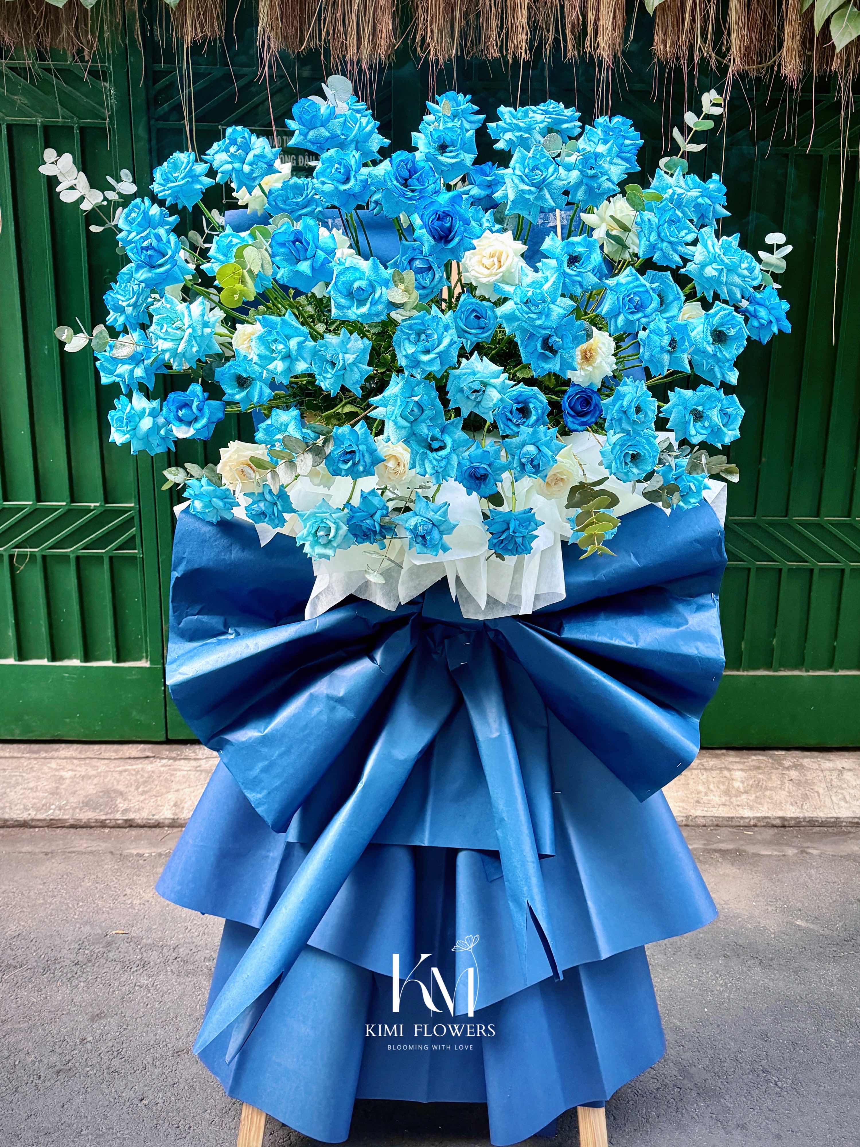 Khởi Đầu Rực Rỡ   HTP0250