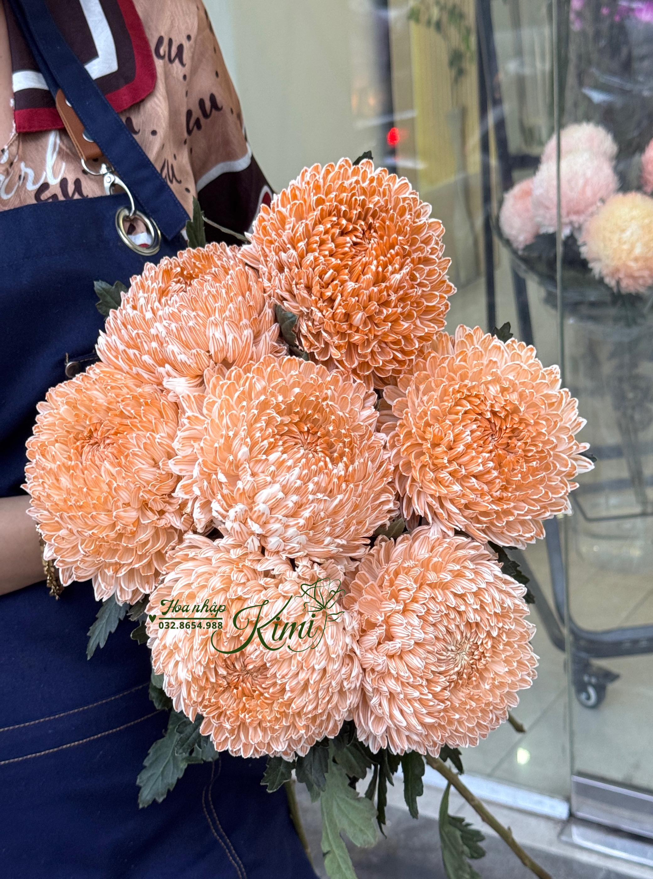 Cúc Mẫu Đơn Malaysia - Nâu Coffee (Peony Chrysanthemum)