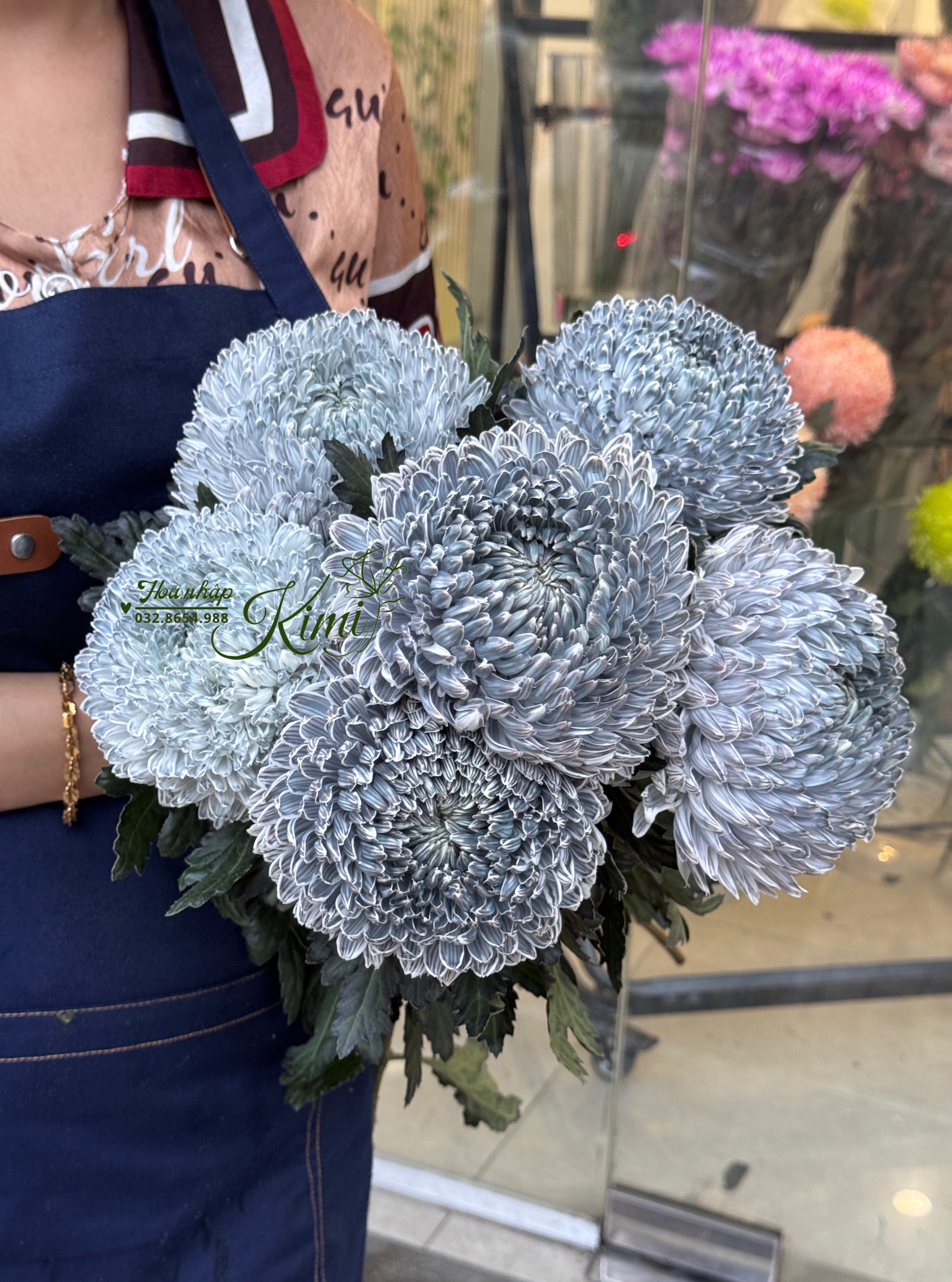 Cúc mẫu đơn Malaysia, hoa tươi nhập khẩu, peony Mum