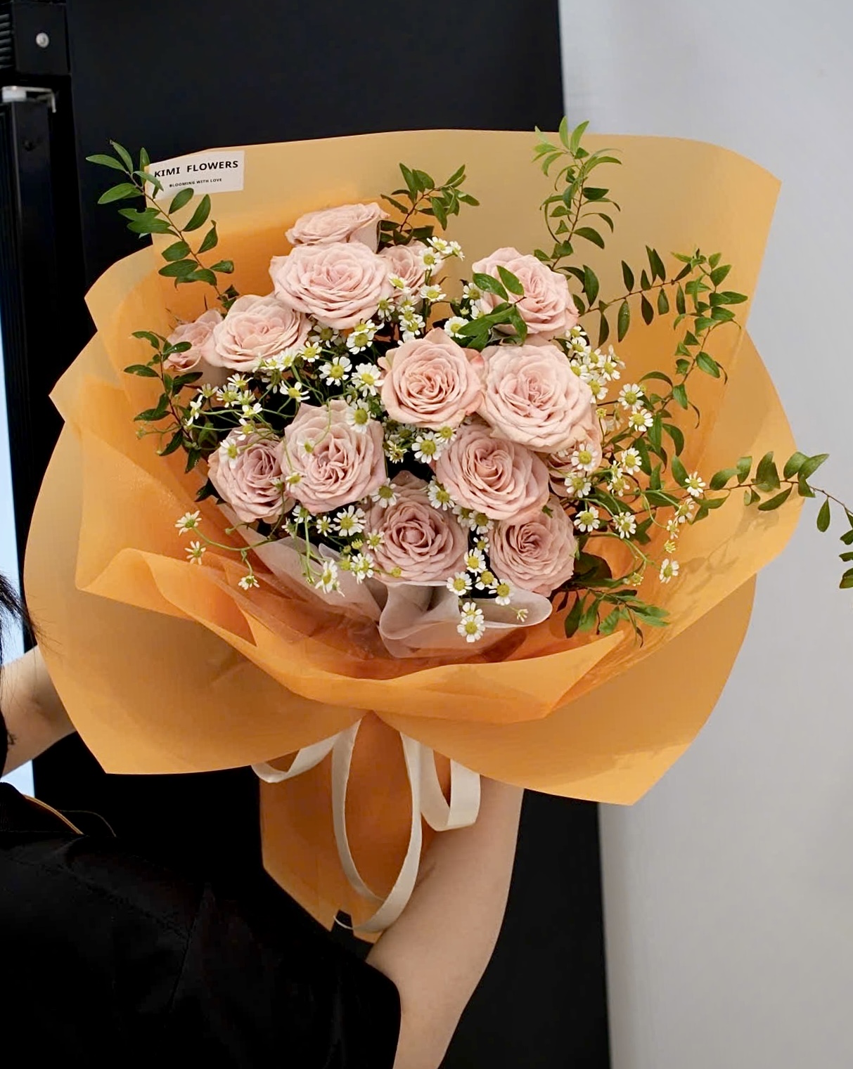 Tỏa Sáng    HTP0195