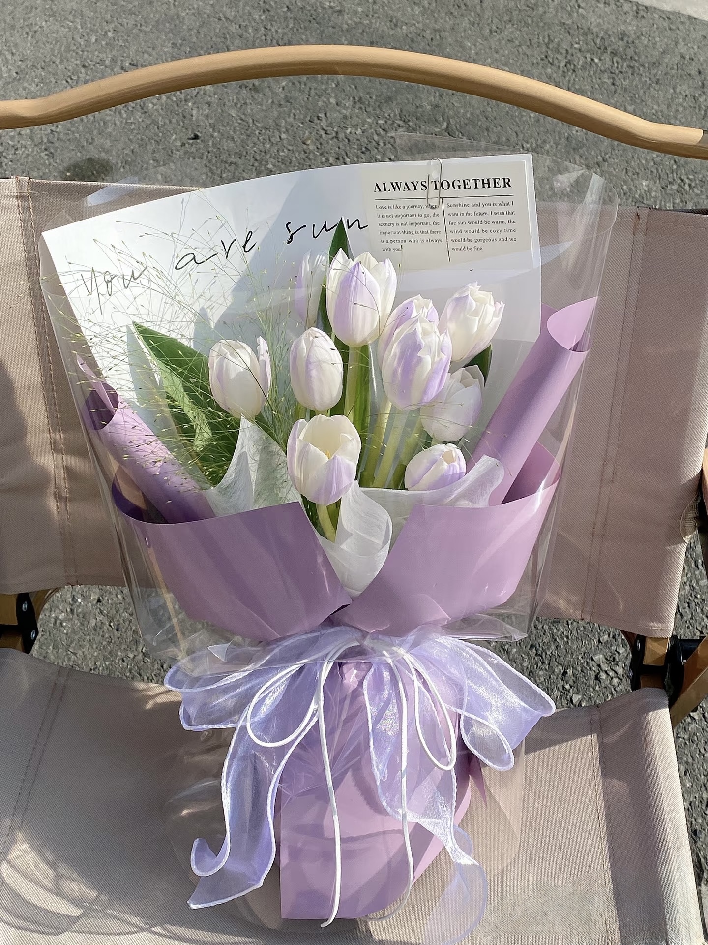 Tulip Dreams   HTP0196