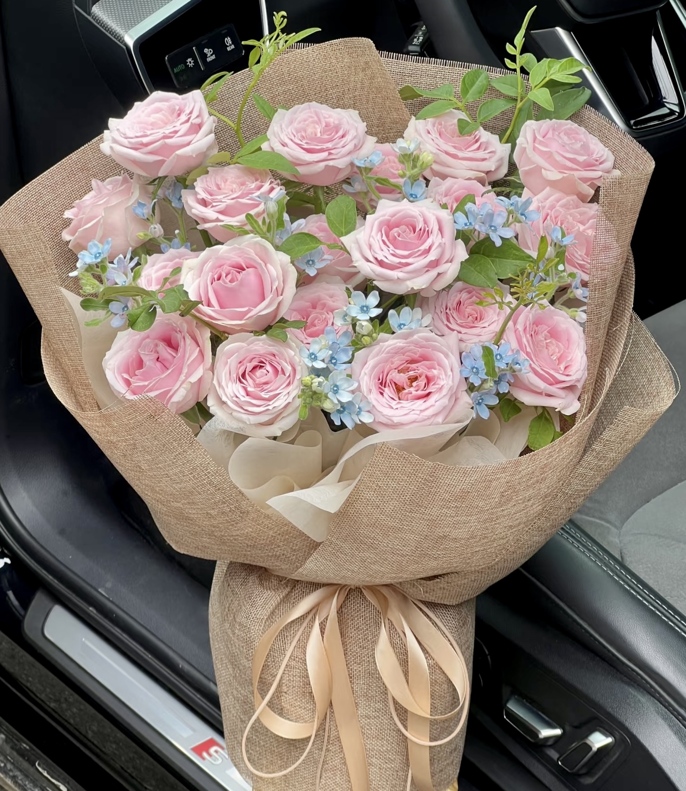 Nàng Thơ   HTP0219