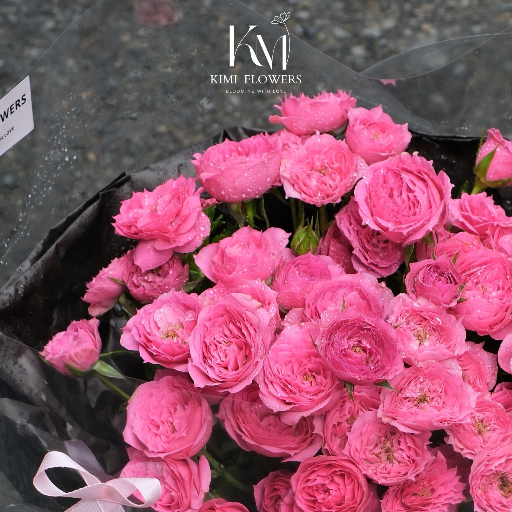 With  Sofia   HTP0213