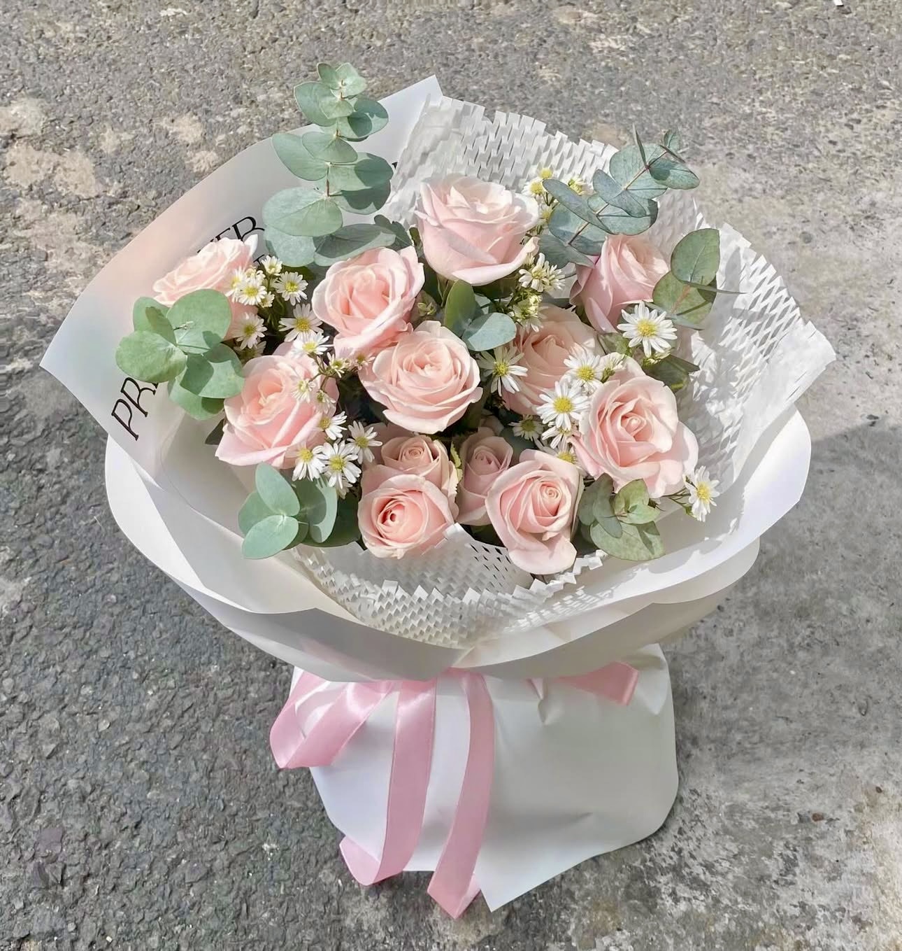 Nature’s Romance   HTP0237