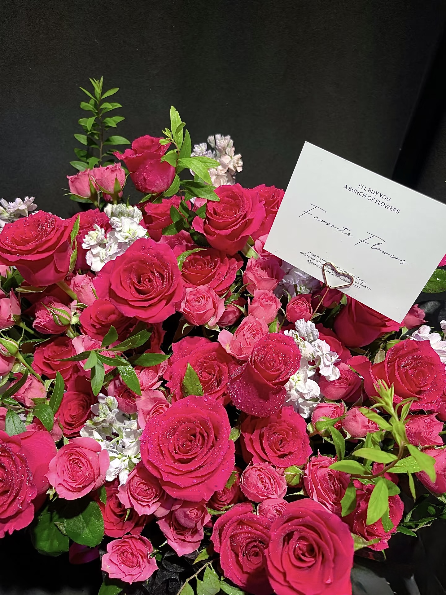 Spring of Ambition   HTP0259