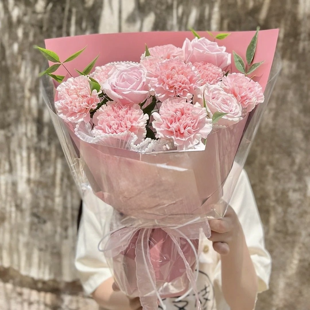 Cẩm Chướng Baby    HTP0313