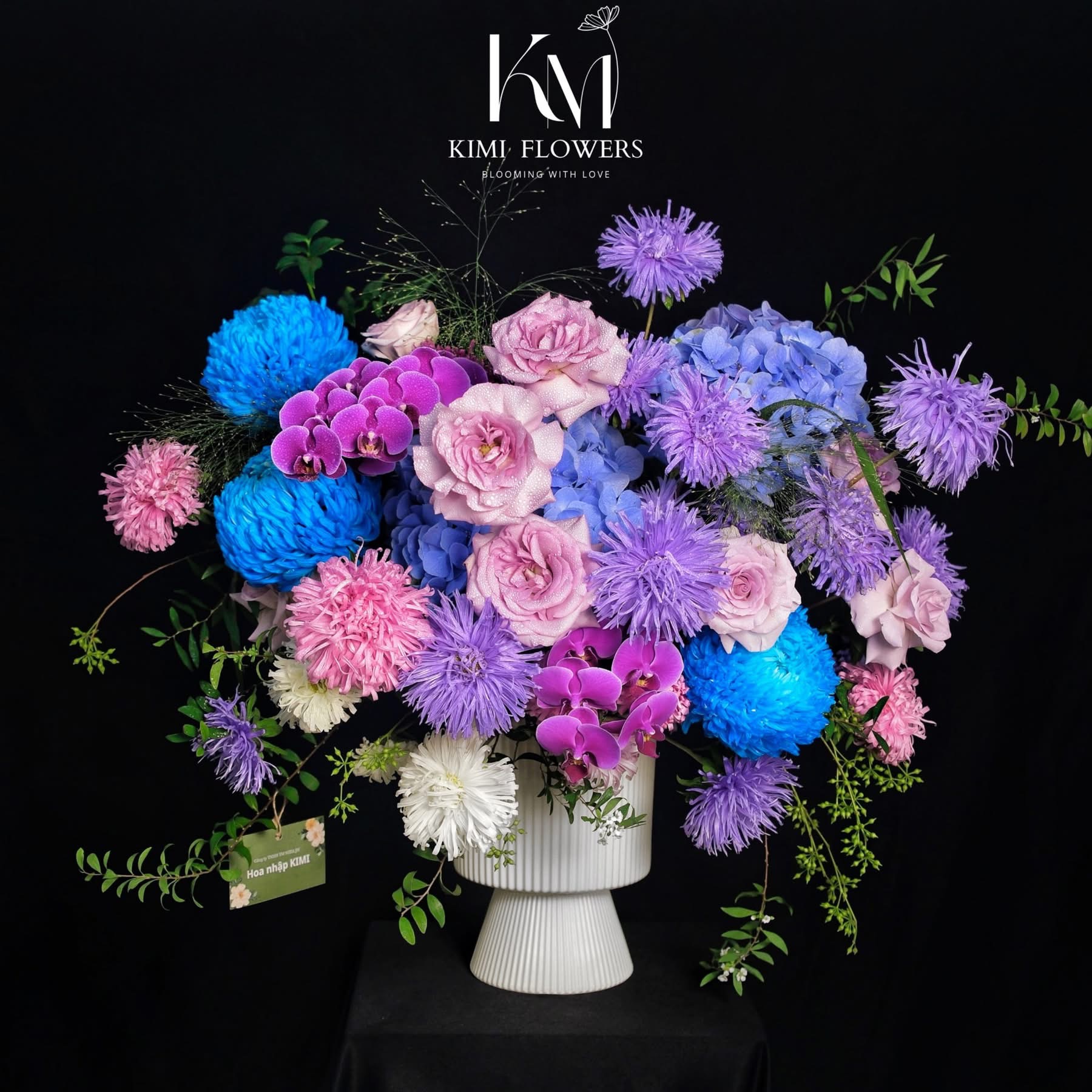 The Violet Shade   HTP0254