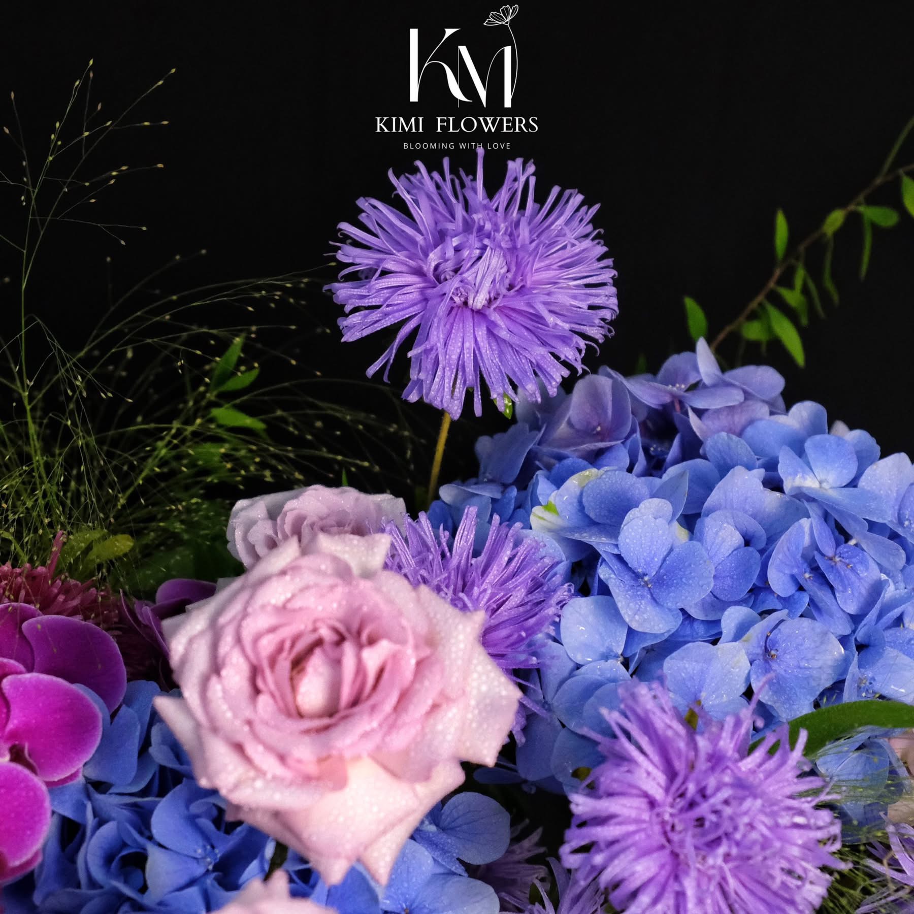 The Violet Shade   HTP0254