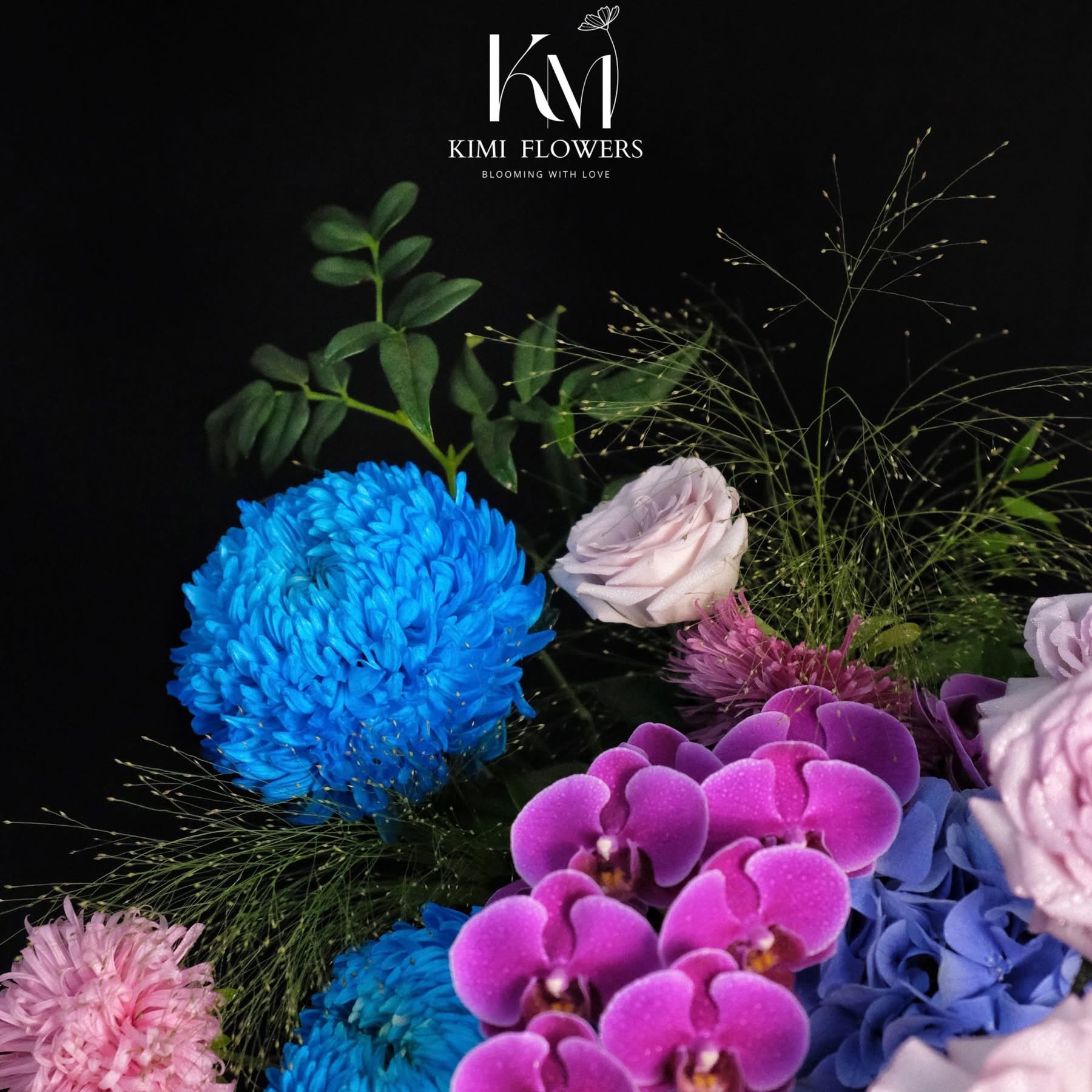 The Violet Shade   HTP0254