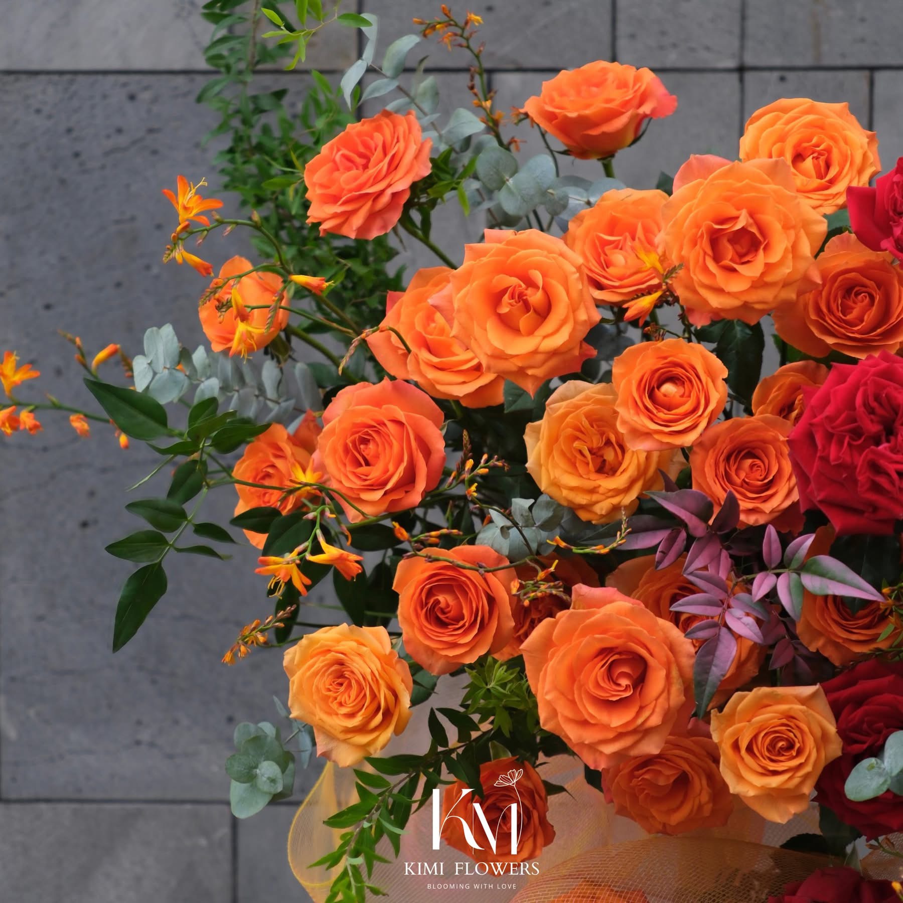 Hương Sắc Thành Công   HTP0247