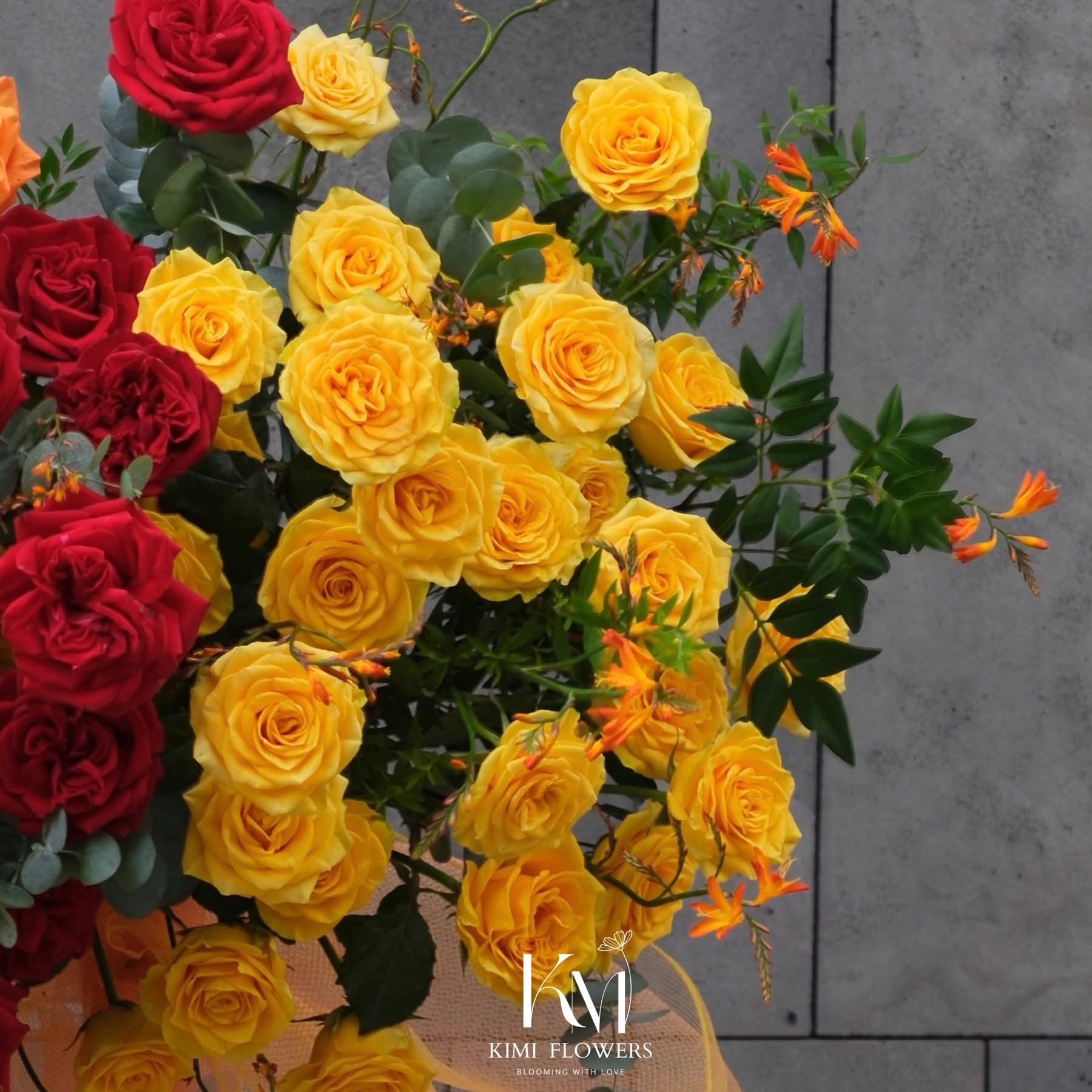 Hương Sắc Thành Công   HTP0247