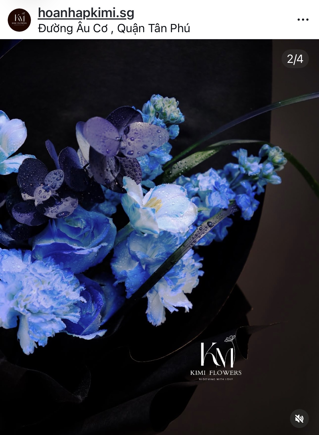 Baby Blue    HTP0476