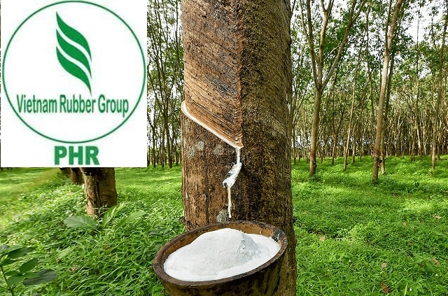 PHR - phê duyệt quy hoạch chung 1/5000 KCN Bắc Tân Uyên 1