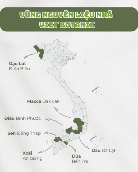 Banner giới thiệu