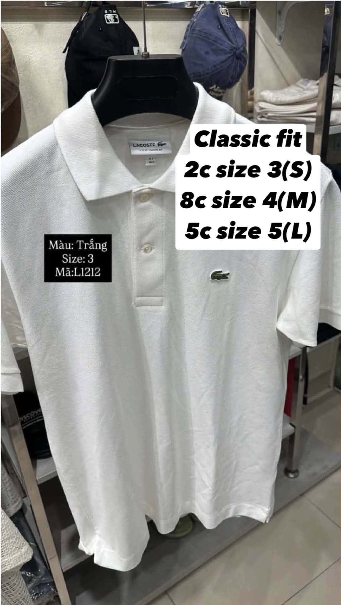 Polo Cá Không Tag