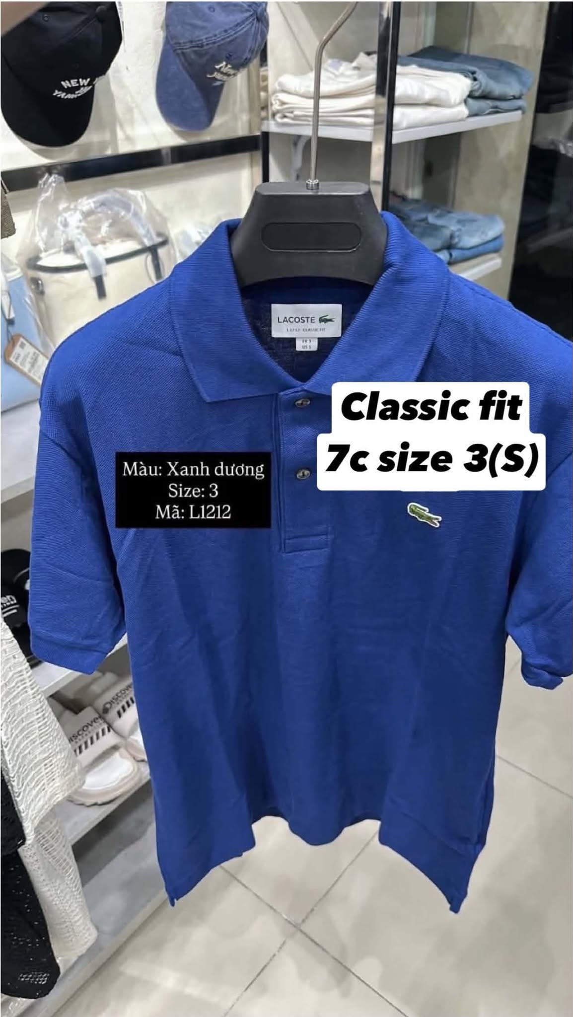 Polo Cá Không Tag
