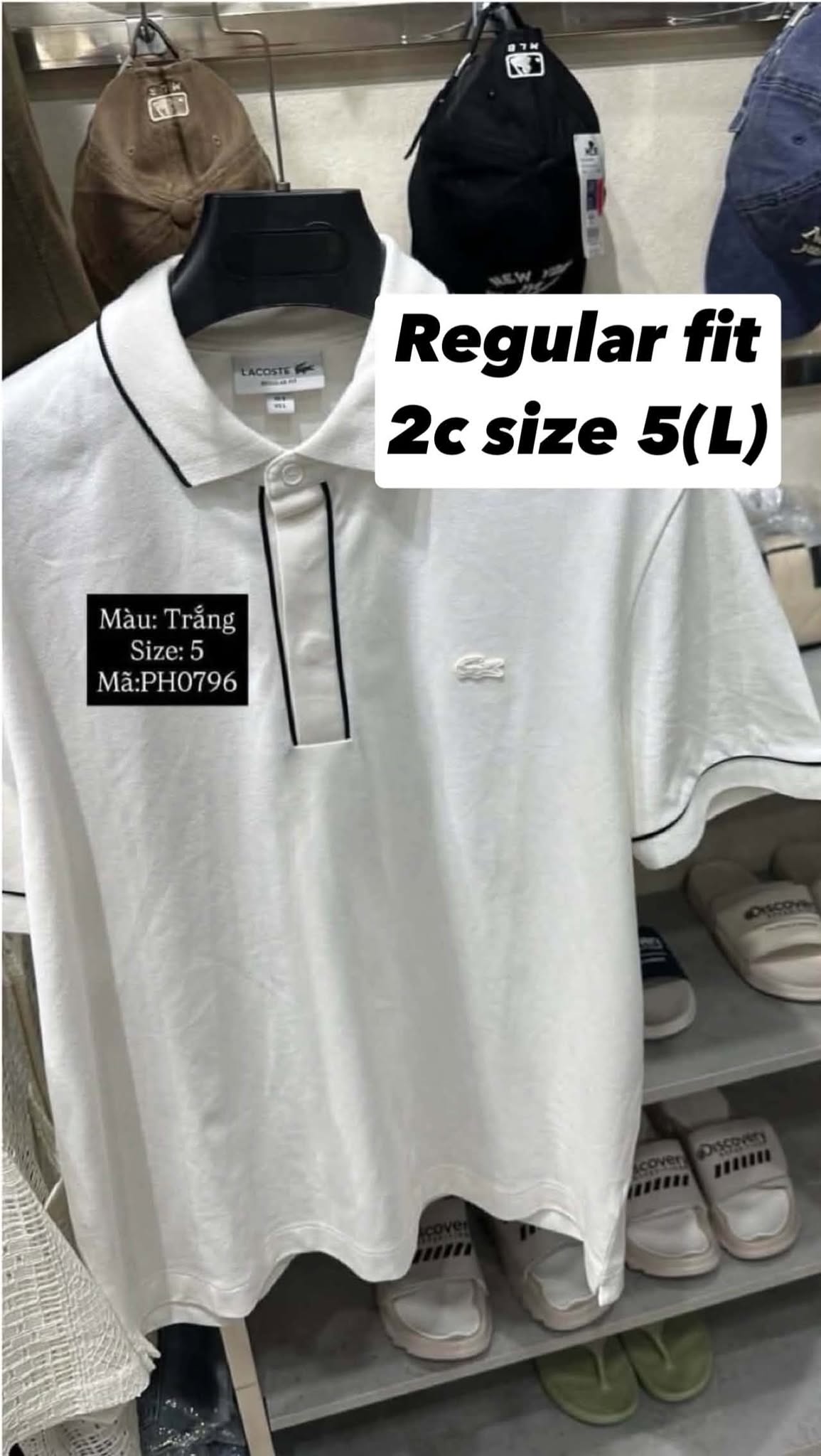 Polo Cá Không Tag