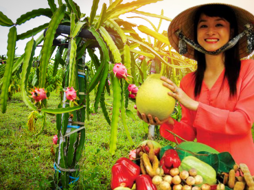 Chị Nguyễn Thị Hồng Anh – Chủ cơ sở hoa quả sấy tại Sài Gòn