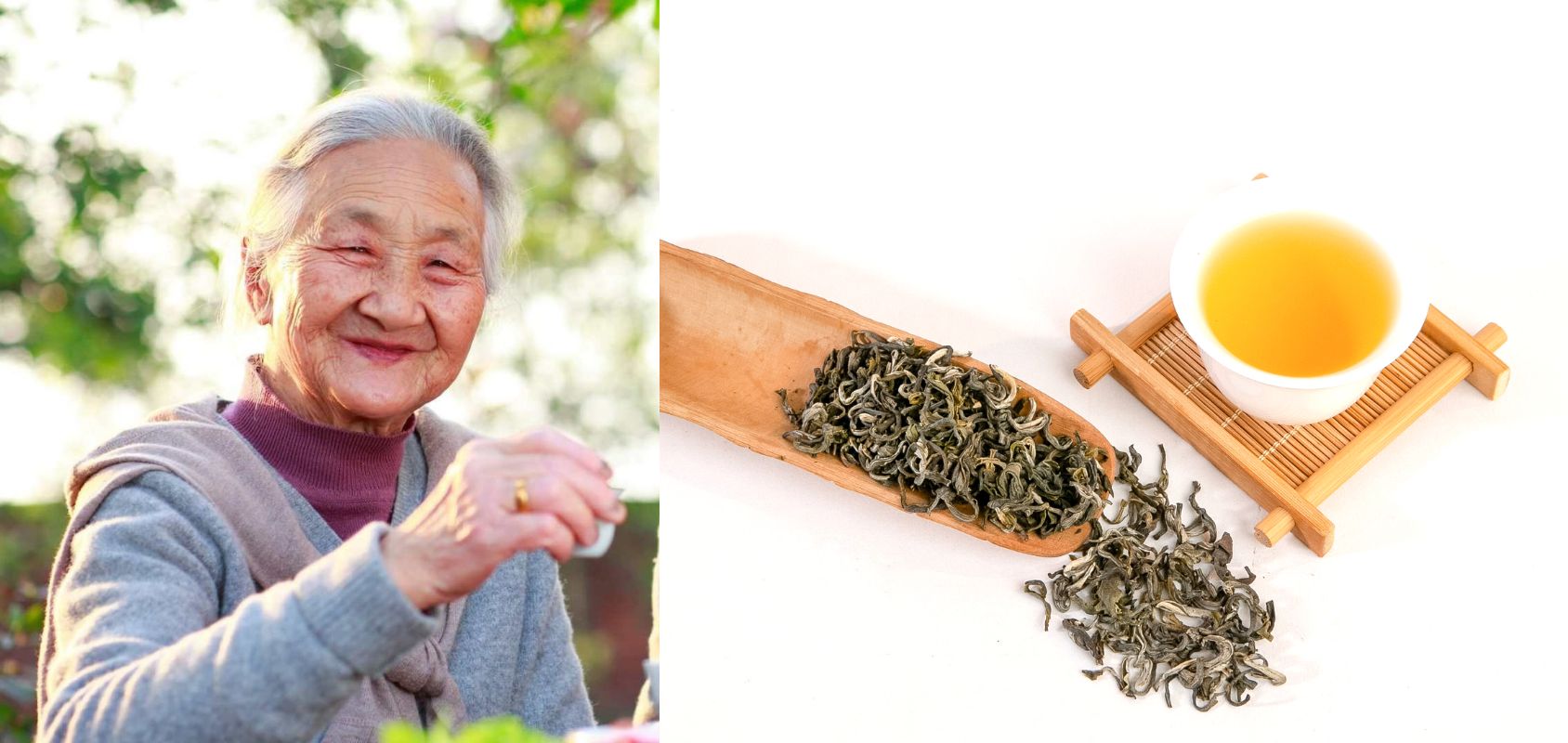 Công nghệ sấy lạnh trà shan tuyết tiên tiến, hiện đại của EGOTANO