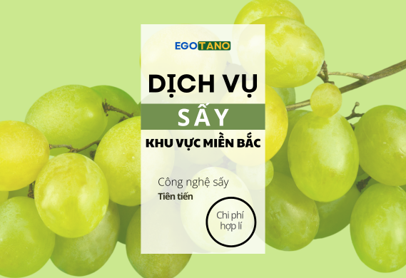 Banner nổi bật