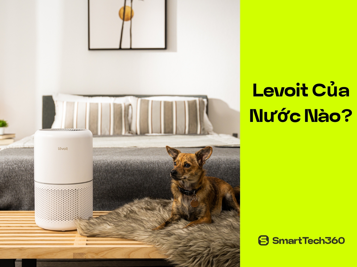 Levoit Của Nước Nào? Sự Thật Về Thương Hiệu Máy Lọc Khí Số 1 Mỹ