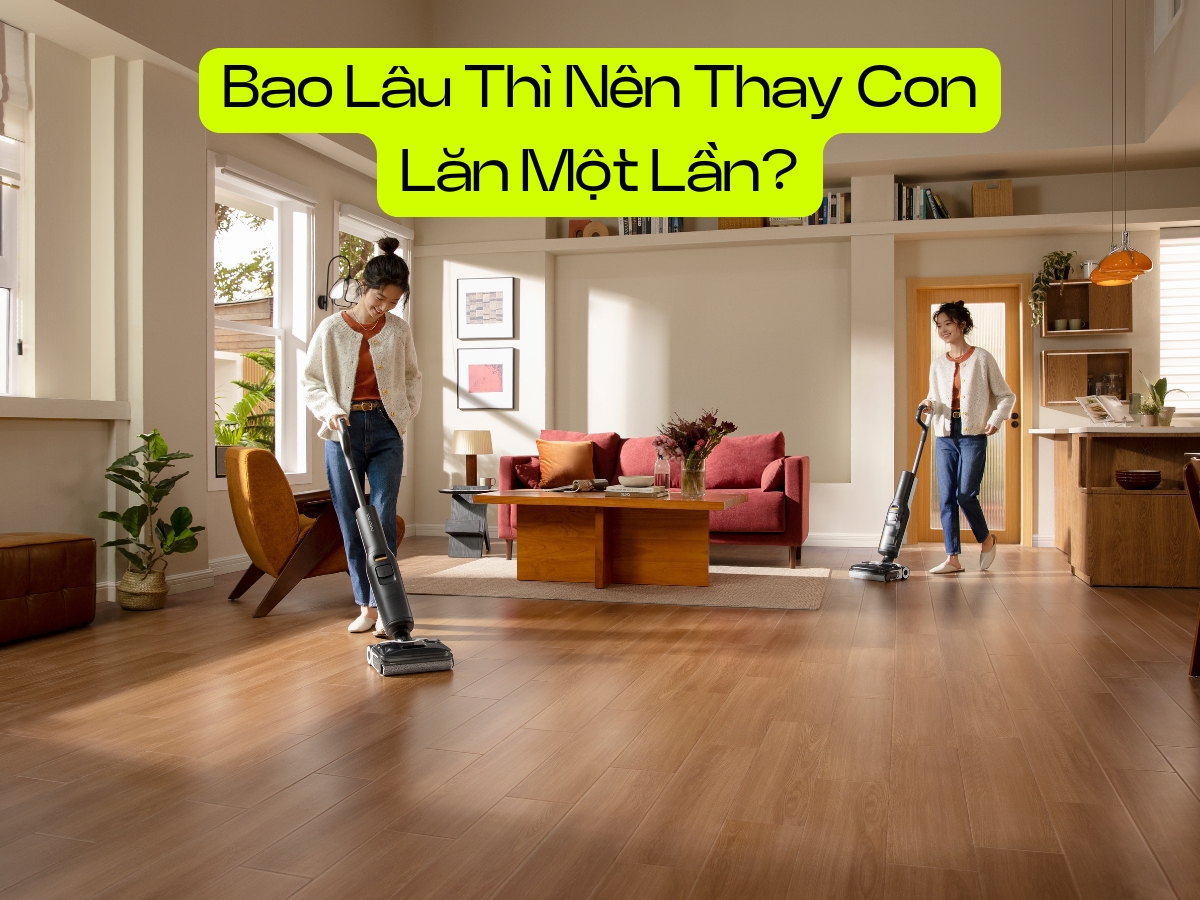 bao lau nen thay con lan mot lan