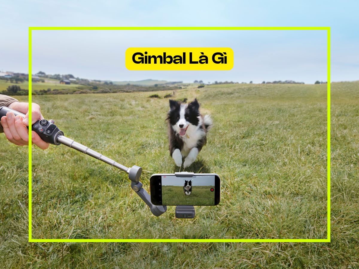 Gimbal chống rung là gì
