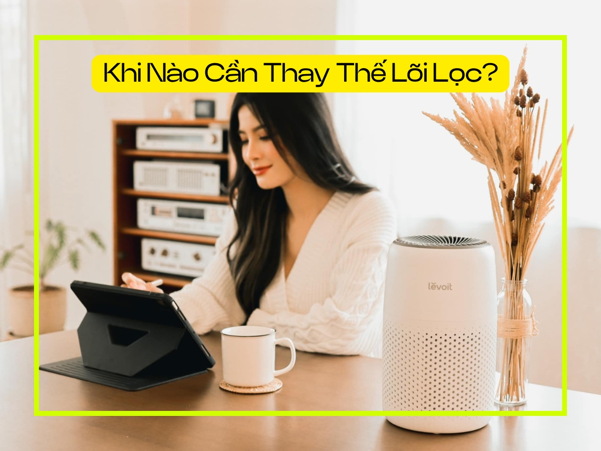 Khi nào cần thay lõi lọc Levoit Core Mini