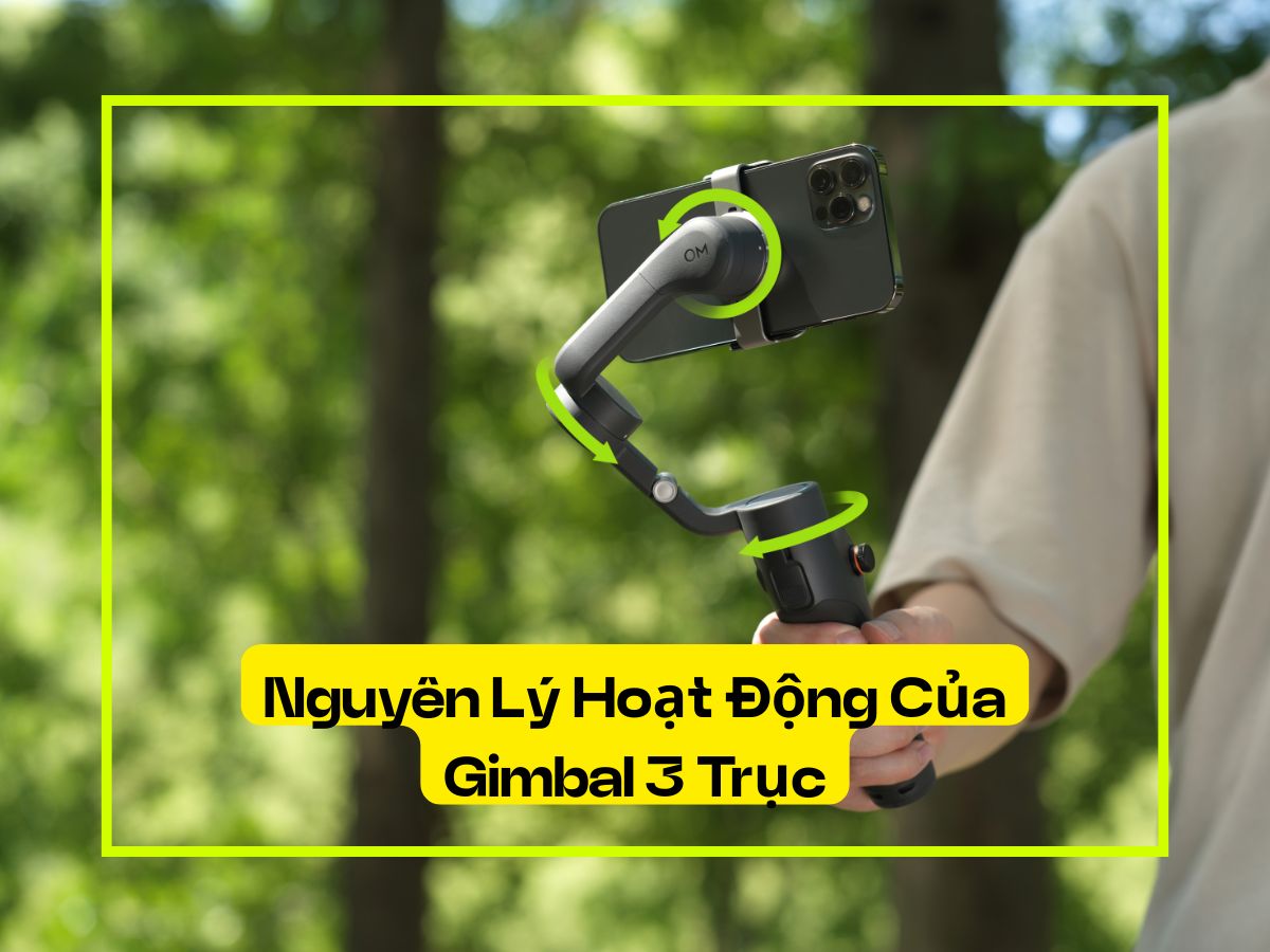 Nguyên lý hoạt động của Gimbal 3 trục