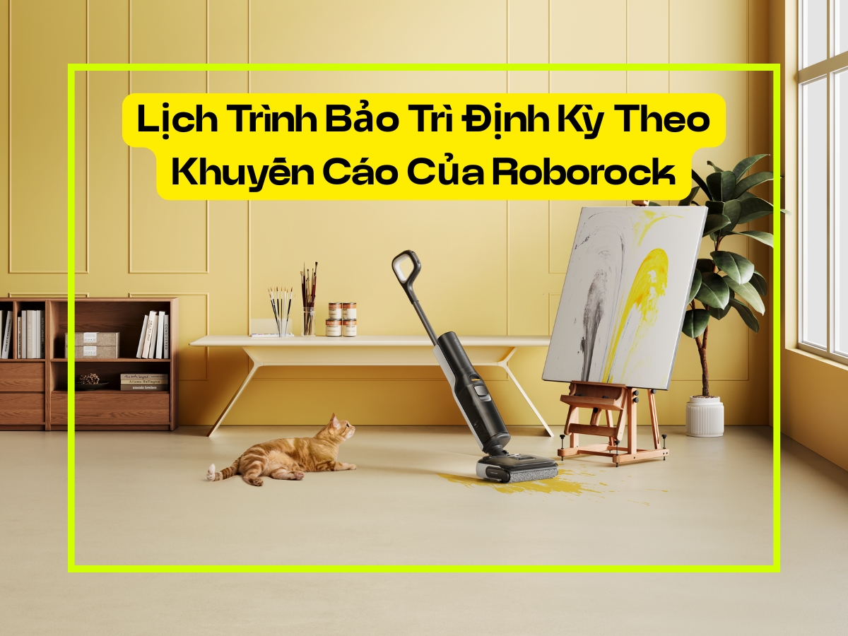 roborock may hut bui lau nha lich trinh bao tri dinh ky