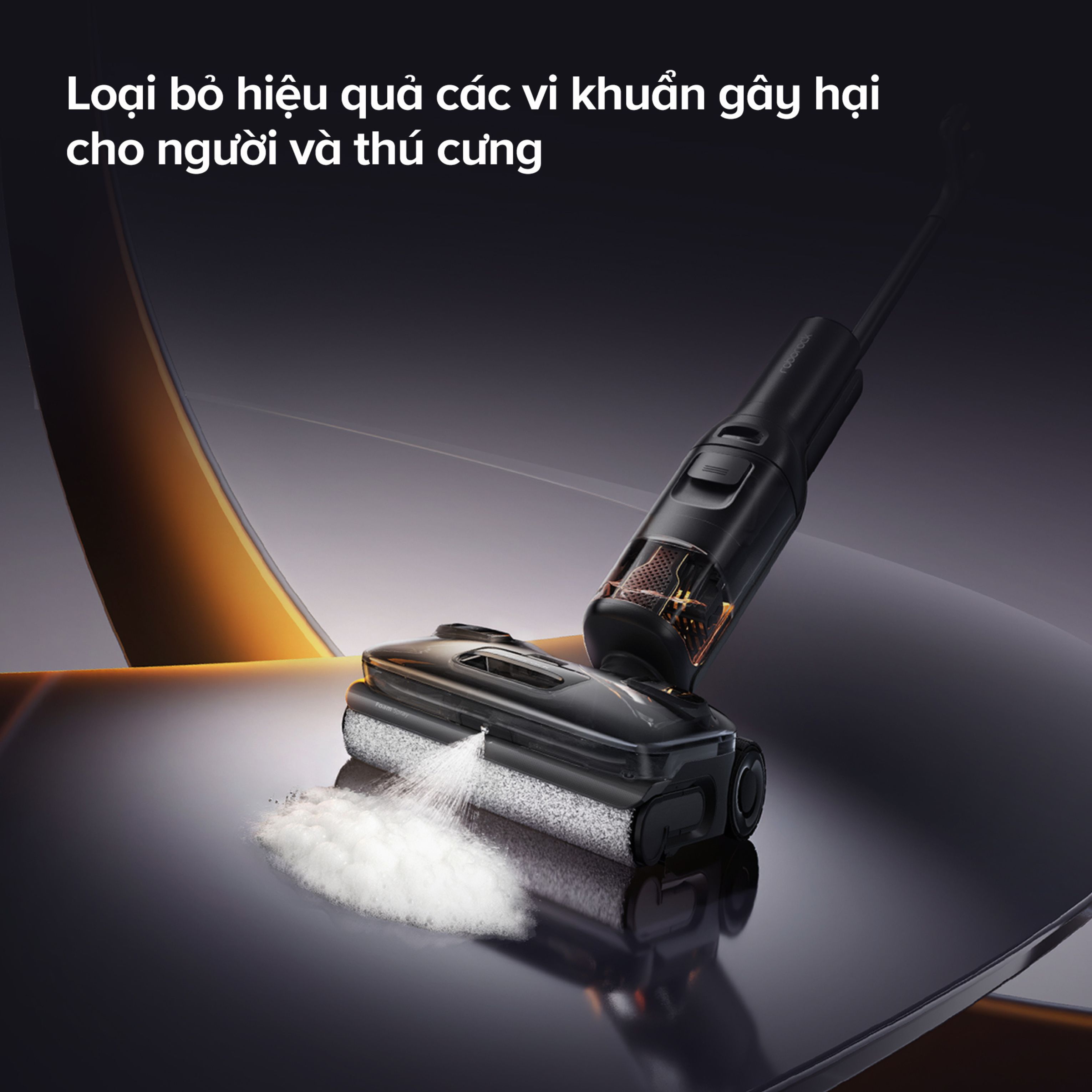 Roborock F25 Ace Pro