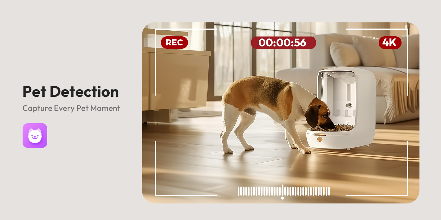 Camera Giám Sát Botslab C224