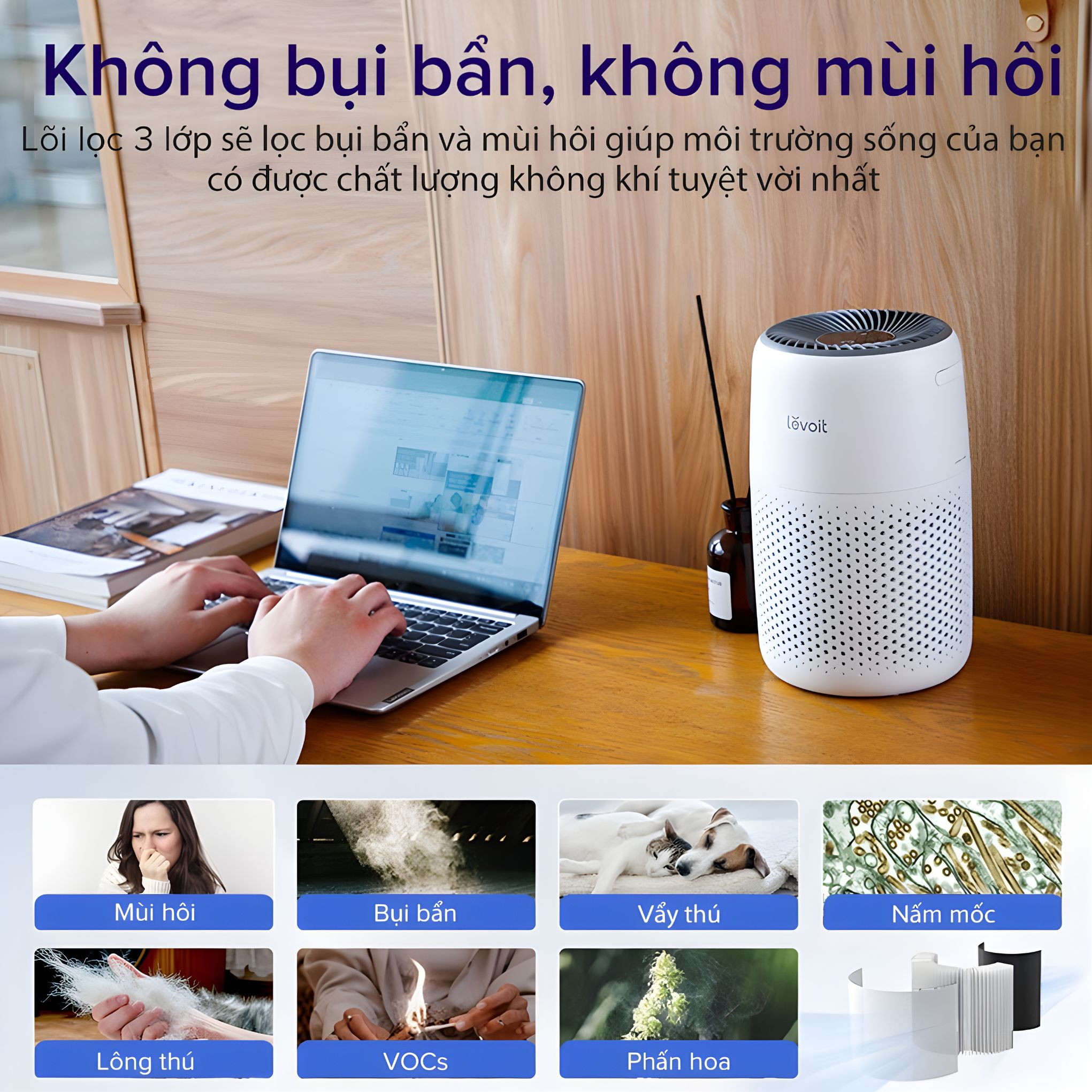 Lõi Lọc Levoit Core Mini