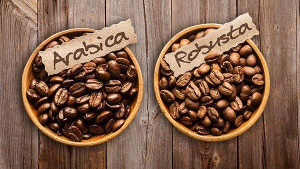 Arabica vs Robusta — Khác Nhau Như Thế Nào? Loại Nào Ngon Hơn?