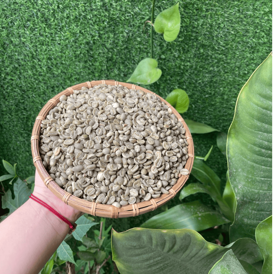Cà phê Arabica chế biến ướt của Mokazana Coffee