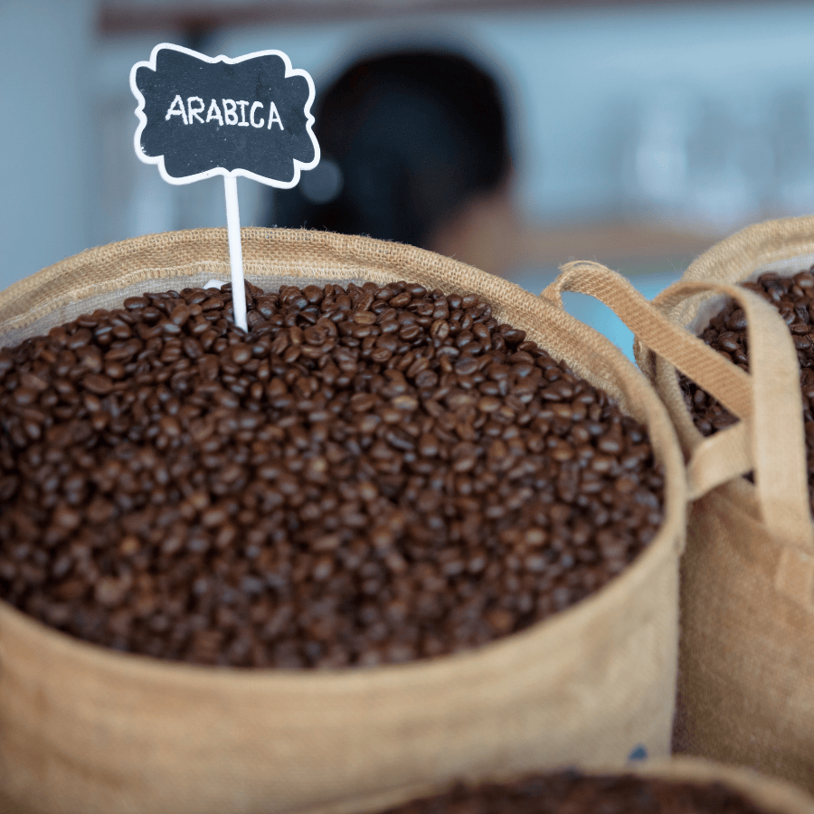 Các dòng cà phê Arabica chất lượng cao ở Việt Nam