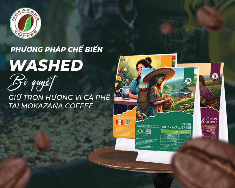 PHƯƠNG PHÁP CHẾ BIẾN WASHED — BÍ QUYẾT GIỮ TRỌN HƯƠNG VỊ CÀ PHÊ TẠI MOKAZANA COFFEE