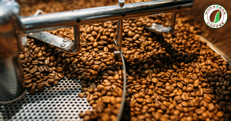 Cà Phê Arabica Rang Nhạt Là Gì? Tất Cả Những Điều Bạn Cần Biết