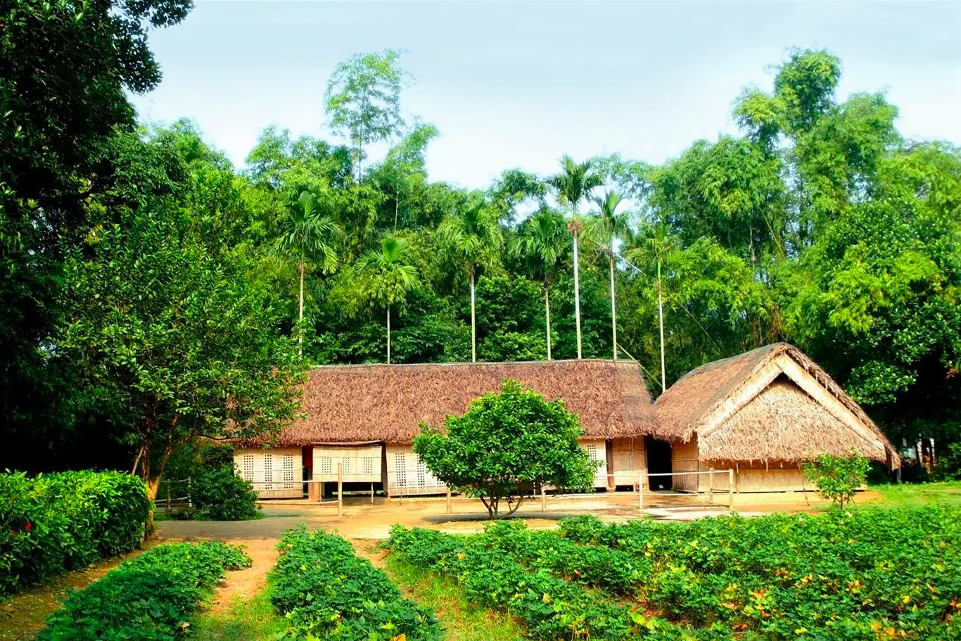 Tour HUẾ - QUẢNG TRỊ - QUẢNG BÌNH - VINH 4 ngày 3 đêm