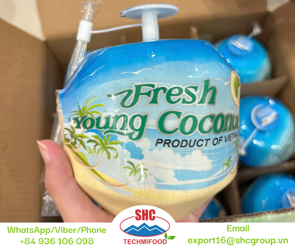 Easy Open Coconut – The Smart Choice from Techmifood JSC