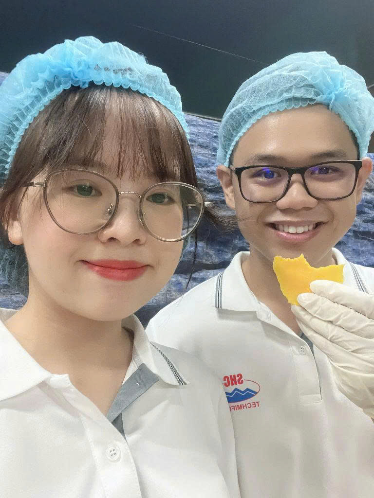 Minimal Ingredients, Maximum Transparency: A Deep Dive into Techmifood’s Soft Dried Mango Philosophy